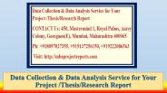 Data Collection & Data Analysis Service