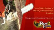 Best Tree & Stump Removal Services in Sale
