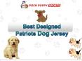 Best Designed Patriots Dog Jersey PowerPoint PPT Presentation