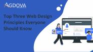 Best Website Designing Services in Delhi