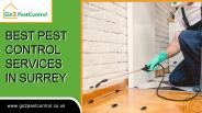 Go 2 Pest Control | Pest Control Woking