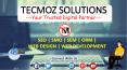 Tecmoz Solutions - Leading SEO & Web Design Company in Bhubaneswar, India (1) PowerPoint PPT Presentation