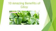 Benefits of Giloy