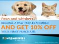 pawswhiskers PowerPoint PPT Presentation