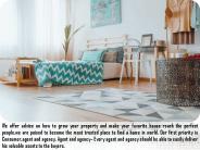 Real Estate Property in India