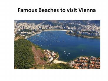 Famous Beaches to visit Vienna
