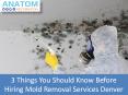 3 Things to Consider While Hiring A Mold Removal Services In Denver PowerPoint PPT Presentation