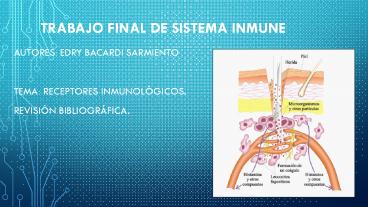Receptores inmunológicos.  Revisión Bibliográfica.