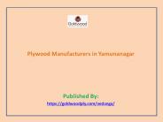 Plywood Manufacturers in Yamunanagar