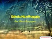 Distinctive Nature Photography