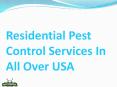 Residential pest control services in all over USA PowerPoint PPT Presentation