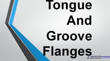 Stainless Steel Tongue And Groove Flanges