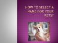 How to Select a name for your pet PowerPoint PPT Presentation