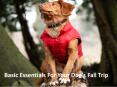 Basic Essentials For Your Dog's Fall Trip PowerPoint PPT Presentation