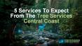 5 Services To Expect From The Tree Services Central Coast PowerPoint PPT Presentation