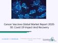 Cancer Vaccines Market Worldwide Key Industry Segments And Forecast 2020 PowerPoint PPT Presentation