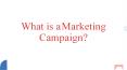 Sloane Wolf- How do you start a marketing campaign? PowerPoint PPT Presentation
