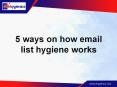 5 ways on how email list hygiene works PowerPoint PPT Presentation