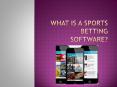 What is a Sports Software app?