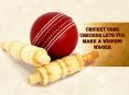 Cricket Odds checker Lets You Make a Winning Wager PowerPoint PPT Presentation