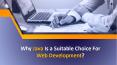 Why Java Is a Suitable Choice For Web Development? PowerPoint PPT Presentation