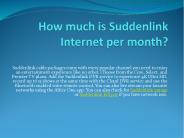 How much is Suddenlink Internet per month?
