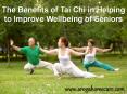 The Benefits of Tai Chi in Helping to Improve Wellbeing of Seniors PowerPoint PPT Presentation