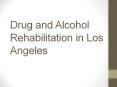 Drug and Alcohol Rehabilitation Center in Los Angeles PowerPoint PPT Presentation