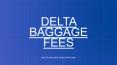 Delta Airlines Baggage Policy Charges and Allowance PowerPoint PPT Presentation