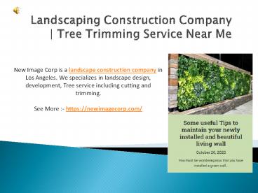 Landscaping Construction Company | Tree Trimming Service Near Me