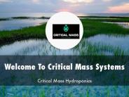 Critical Mass Systems Presentation
