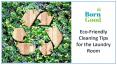 Eco-Friendly Cleaning Tips for the Laundry Room PowerPoint PPT Presentation