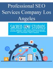 Professional SEO Services Company Los Angeles