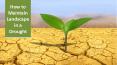 5 Tips to Maintain Landscape in Drought PowerPoint PPT Presentation
