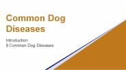 Common Dog Disease | Online Vet Consultation (1)
