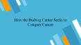 How the Budwig Center Seeks to Conquer Cancer PowerPoint PPT Presentation