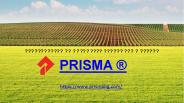 Prisma BG - lawn mower
