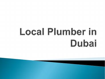 Local Plumbers in Dubai