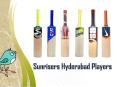sunrisers hyderabad players, SRH versus DC review: Delhi Capitals PowerPoint PPT Presentation