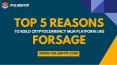 Top Reasons to Choose Forsage Clone PowerPoint PPT Presentation