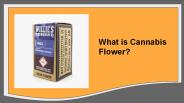 Cannabis Flower