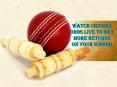 Watch Cricket Odds Live to Get More Returns on Your Wager PowerPoint PPT Presentation