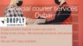 Special courier Services in Dubai PowerPoint PPT Presentation