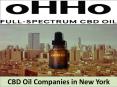 CBD Oil Companies in New York PowerPoint PPT Presentation