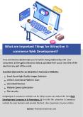 What are Important Things for Attractive E-commerce Web Development? PowerPoint PPT Presentation
