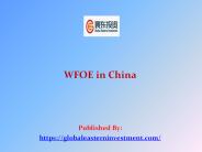 WFOE in China