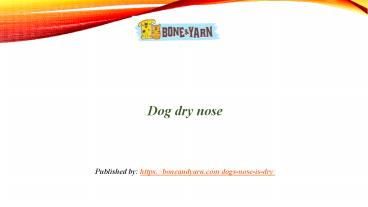 Dog dry nose