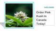 Order Pink Kush In Canada Today- Carly's Garden