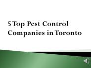 5 Top Pest Control Companies in Toronto