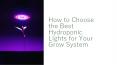 How to choose the best hydroponic lights for your grow system PowerPoint PPT Presentation